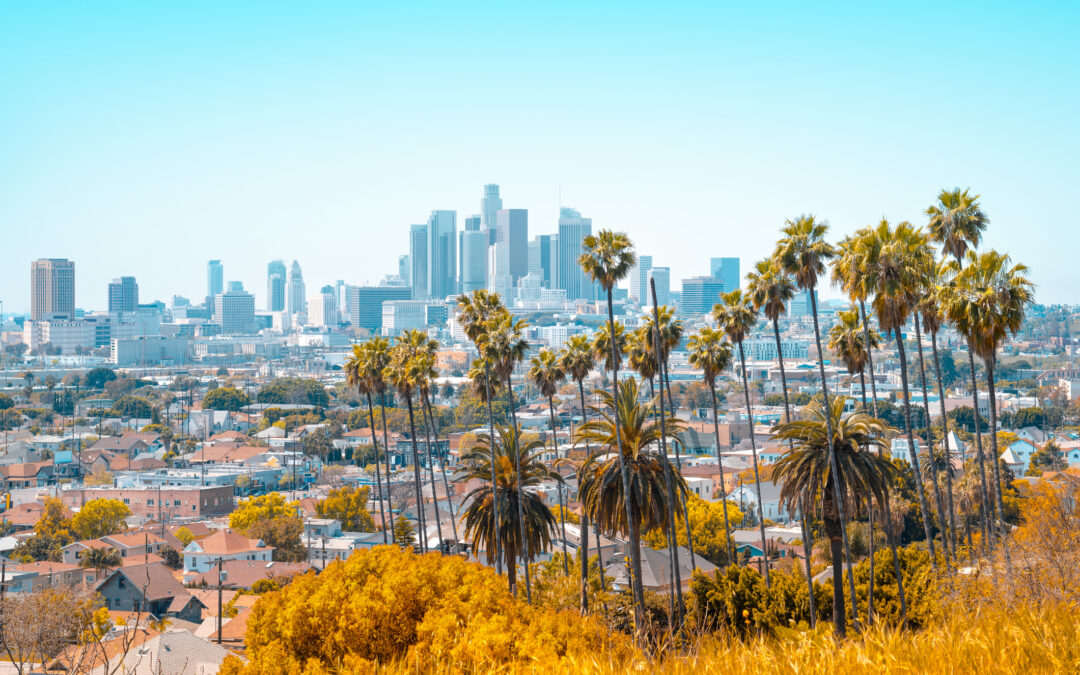 Insurance Executive Recruitment in Los Angeles