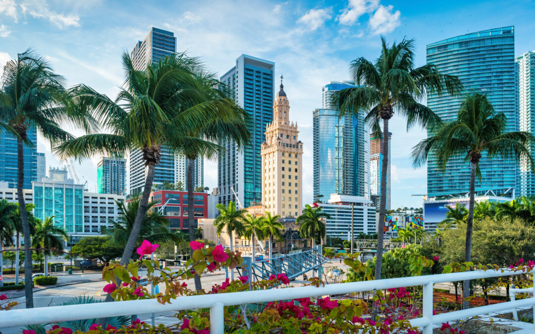 Miami Insurance Risk Management Executive Search